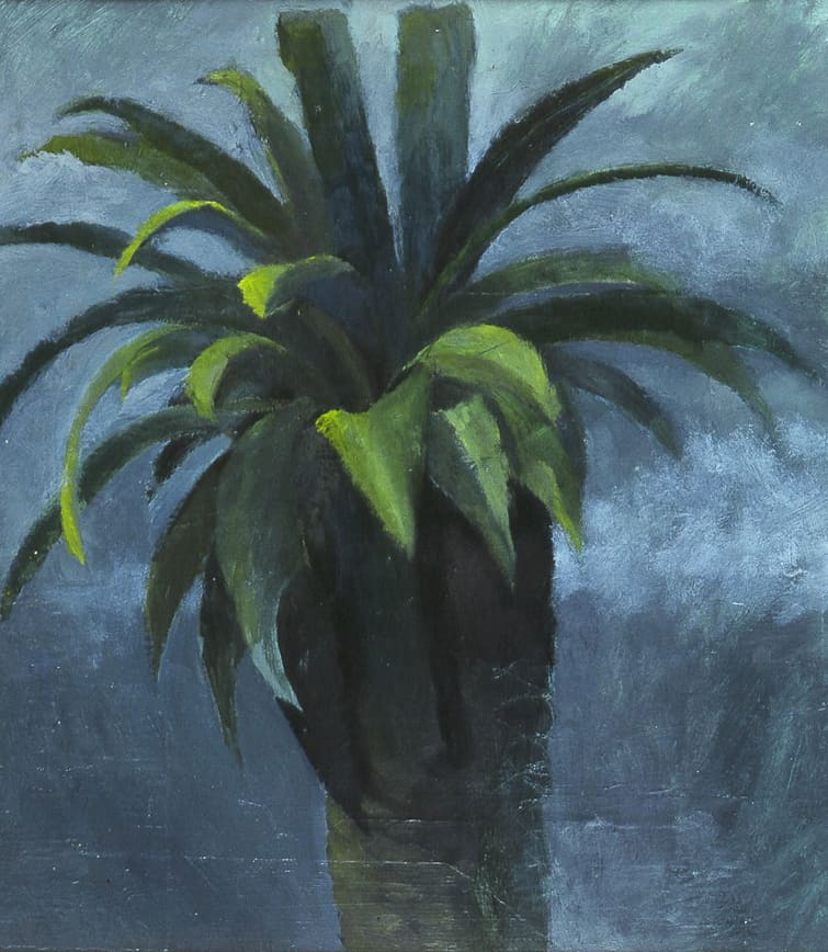 Louisiana Palm #1