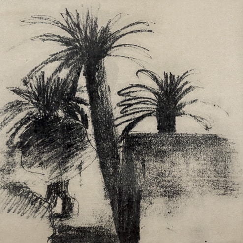 Three Palms and a House